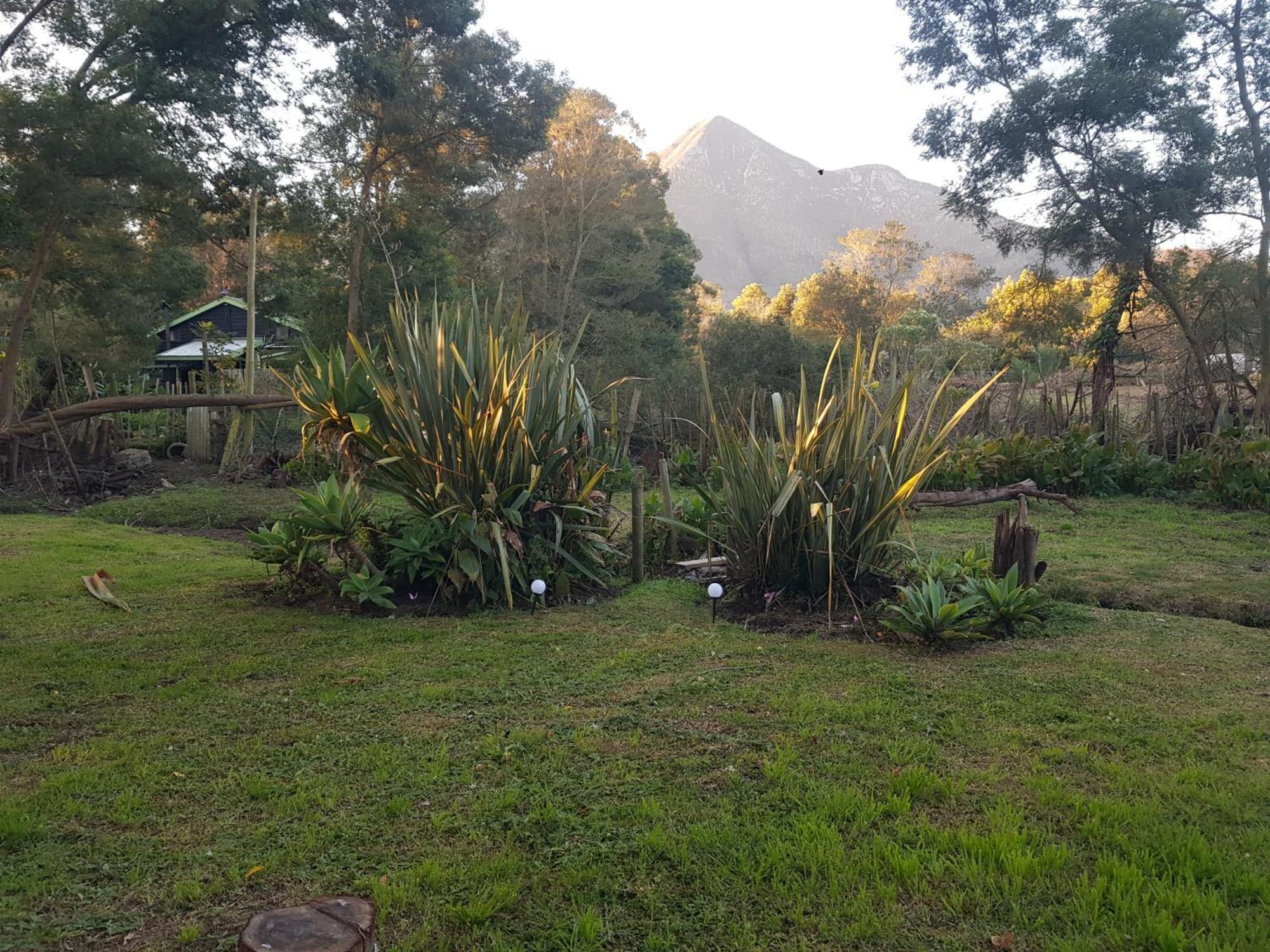 Elephants Loft Stormsrivier Exterior photo
